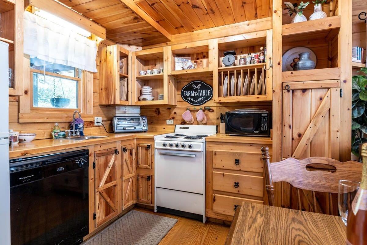 Quaint & Secluded Near Dollywood With Bbq&Hot Tub Villa Pigeon Forge Kültér fotó